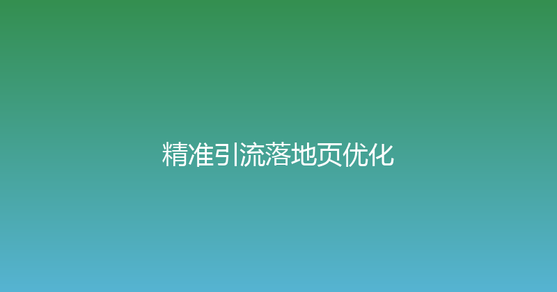 精准引流落地页优化 封面图